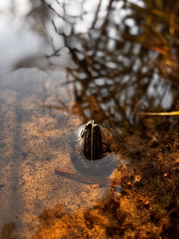 Photograph by Евгений Никонов