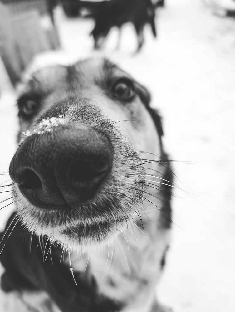 Photograph by Софья Титова