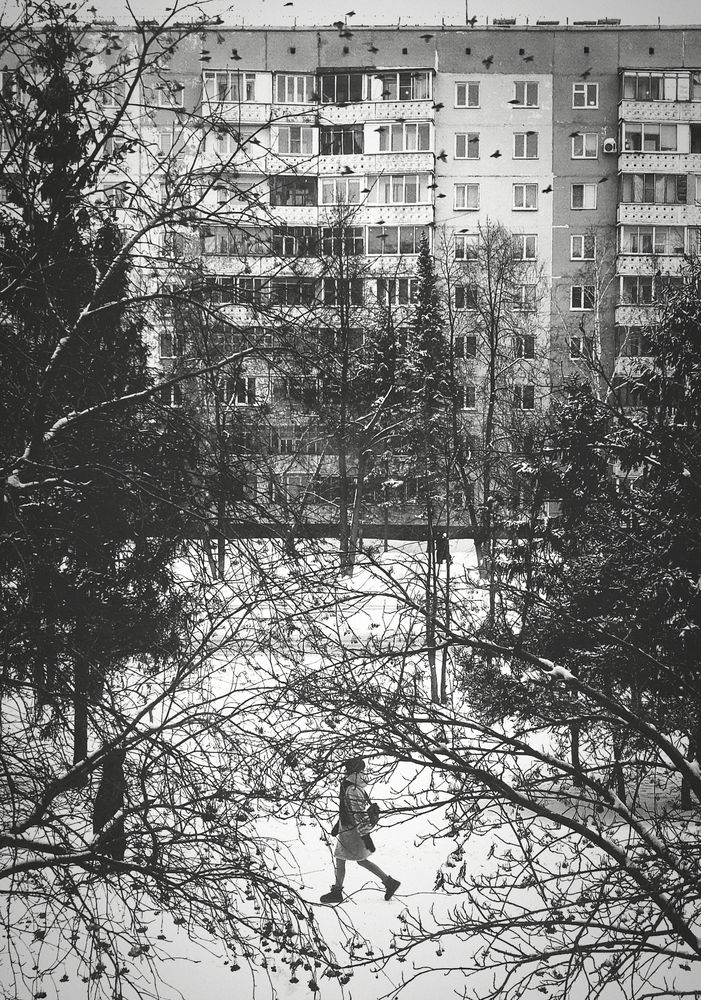 Photograph by Ольга Гребенникова