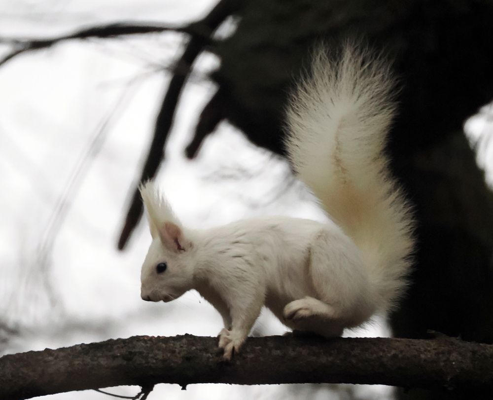 Photograph by Татьяна ТУРСКАЯ