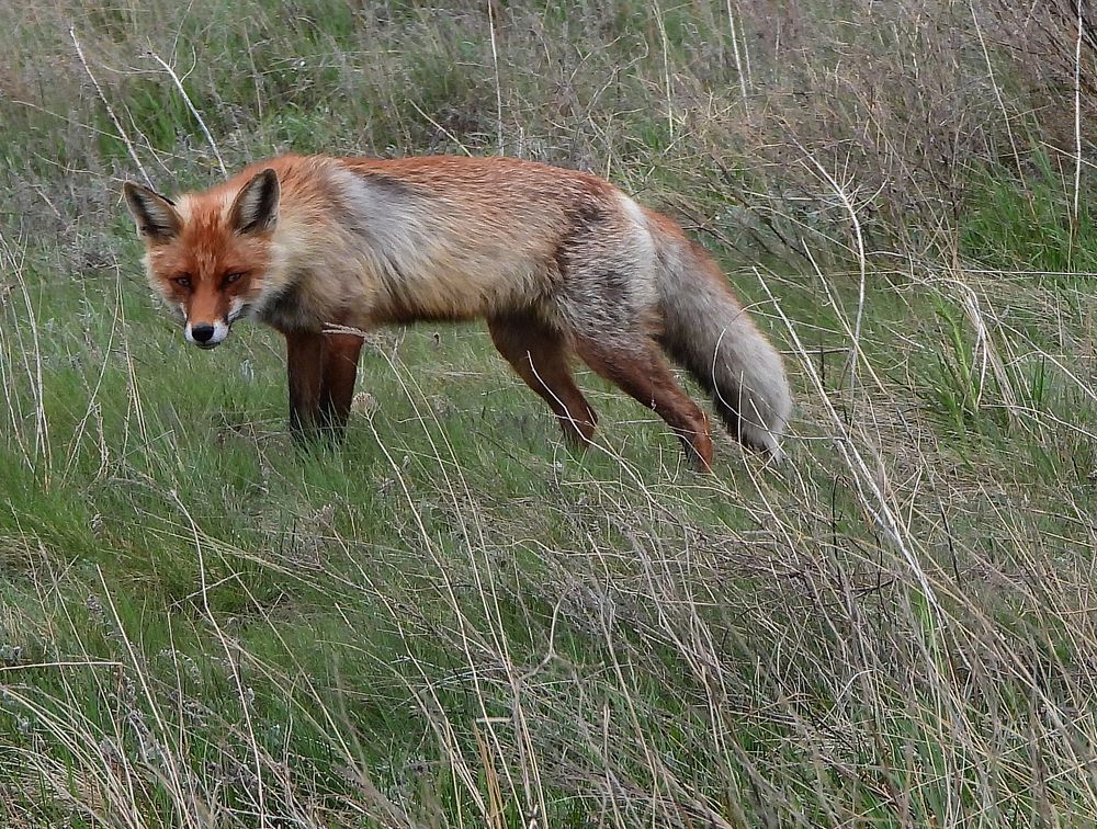 Photograph by Татьяна ТУРСКАЯ