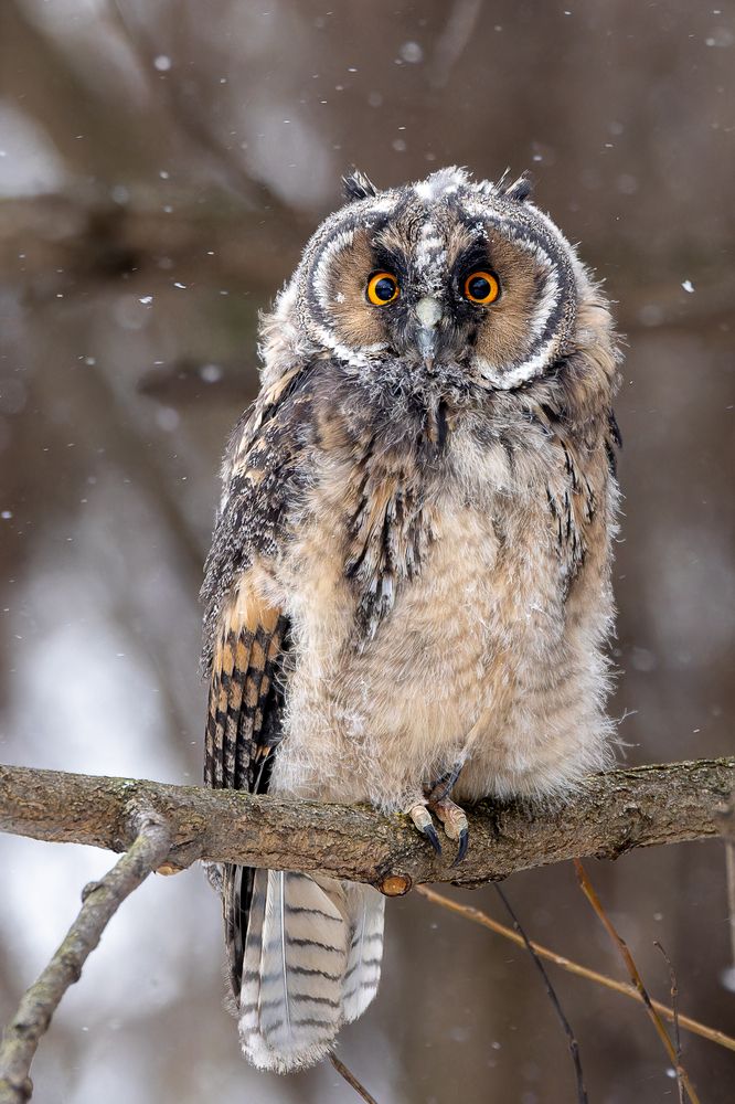 Photograph by Вера Машина