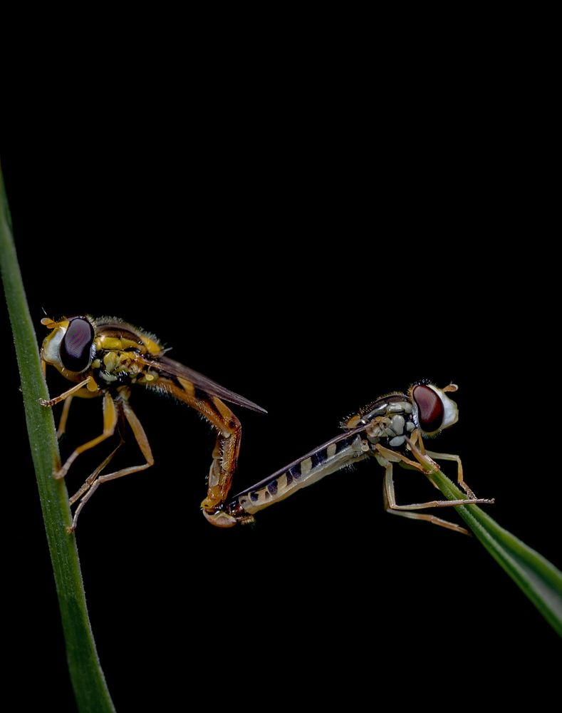 Фотография автора Константин Яковлев