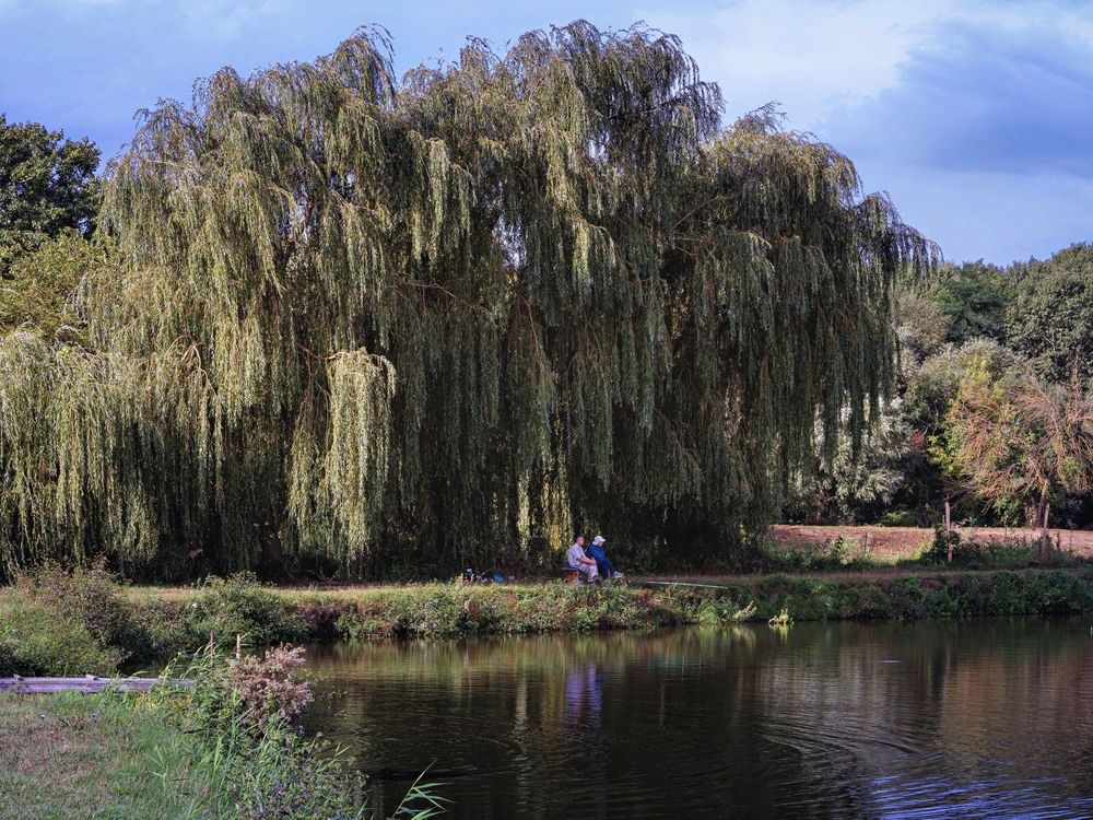 Место где хочется быть