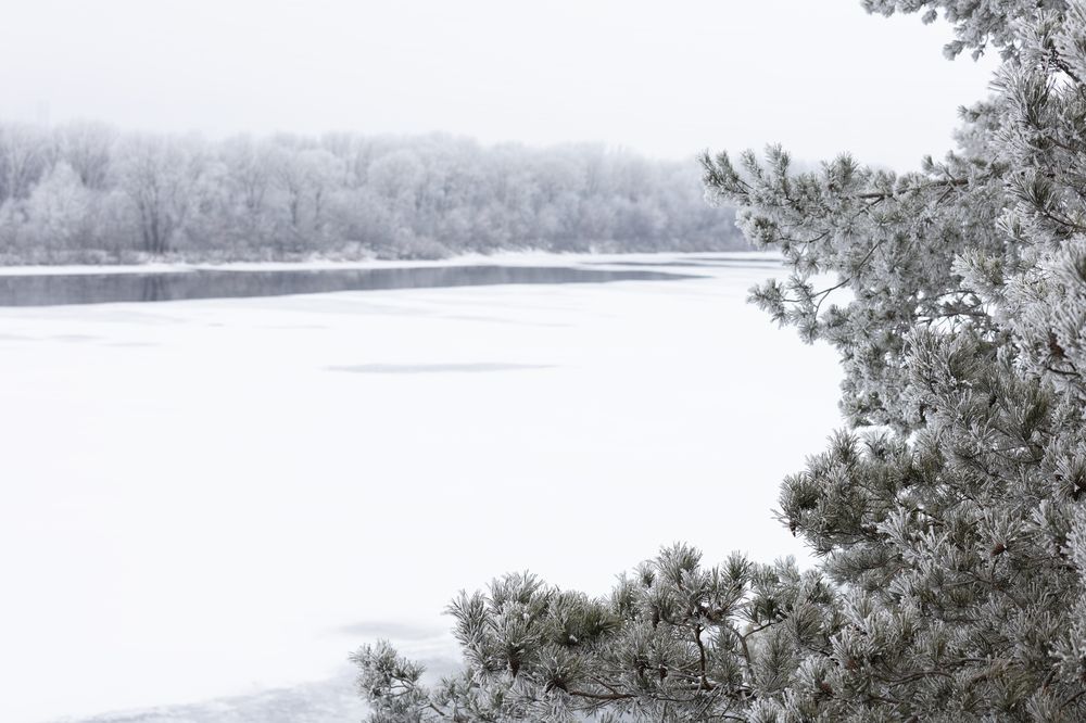 Photograph by Наталья Латыпова