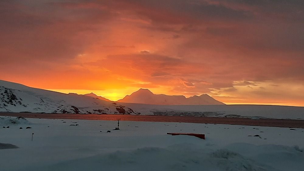 Photo #11898762