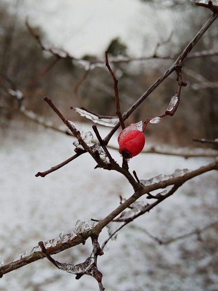 Photograph by Татьяна Солтан