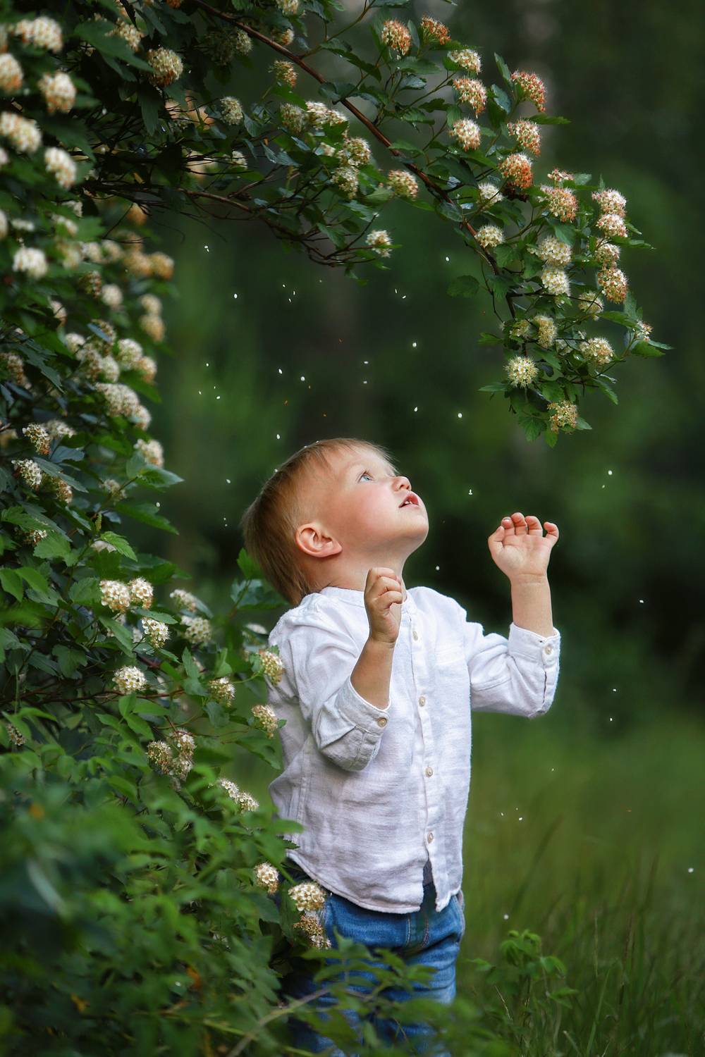 Фотография #11898785