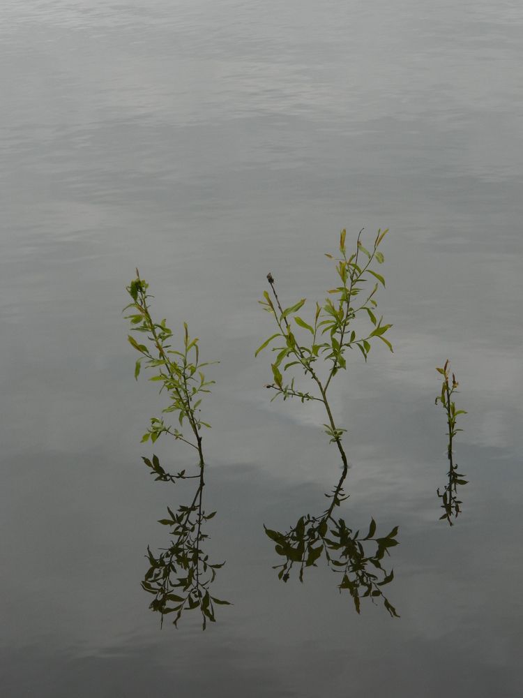 Photograph by Виктория Подрезова