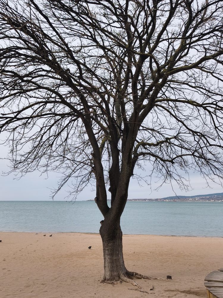 Photograph by Дмитрий Ромашов