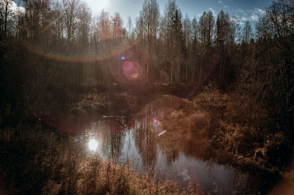 Photograph by Ольга Кривенцова