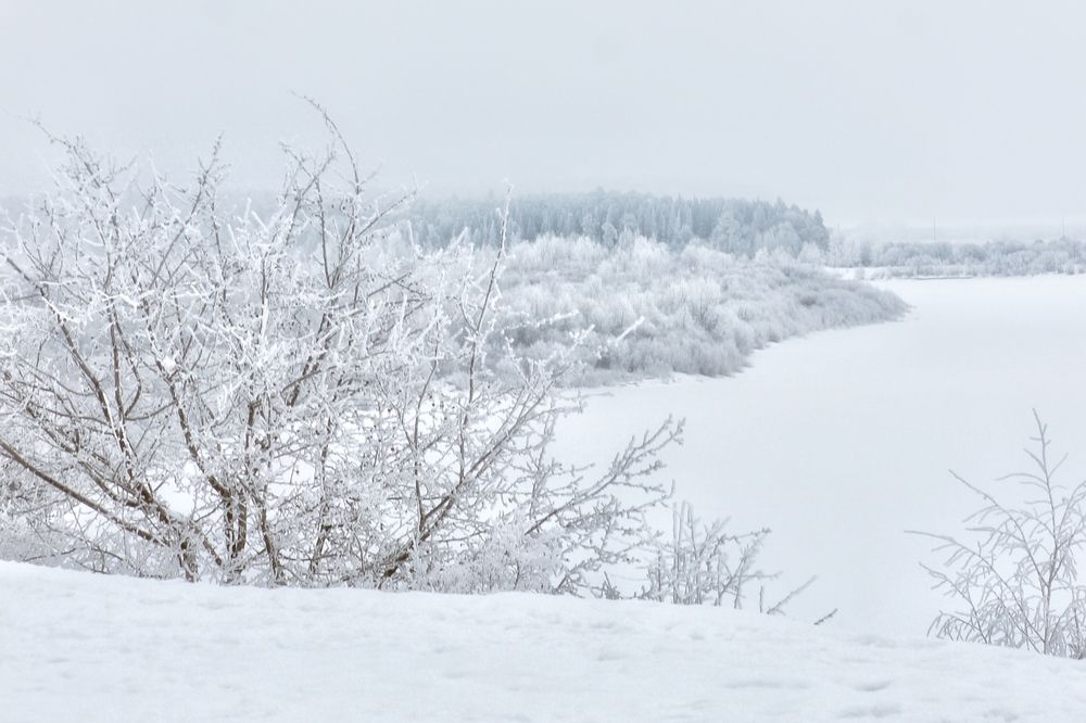 Фотография автора Евгения Никишина