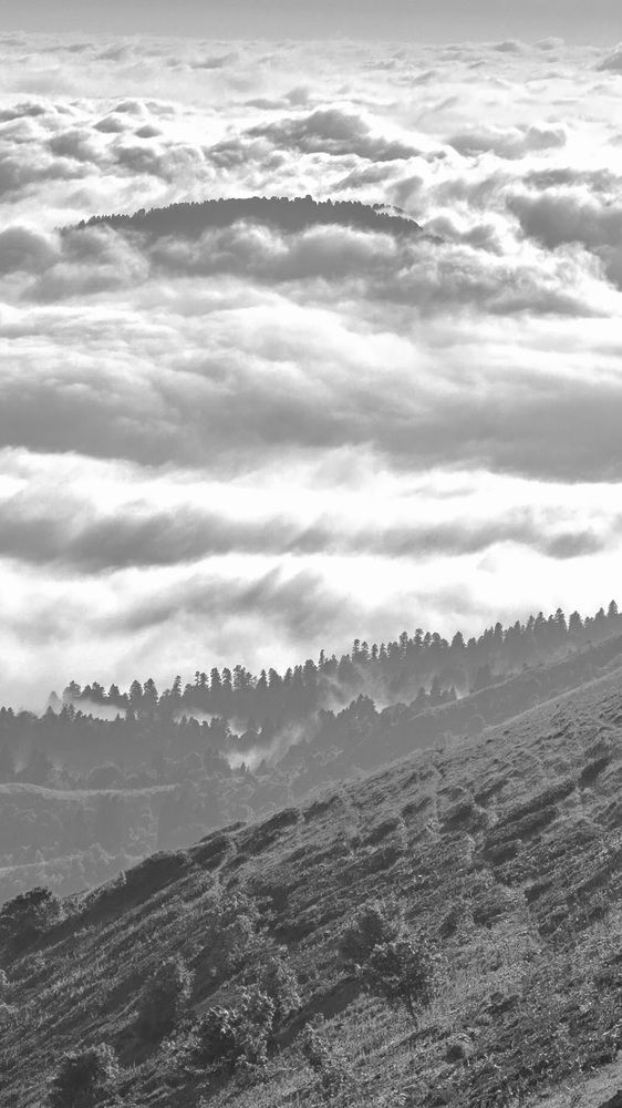 Photograph by Svetlana Kovalchuk