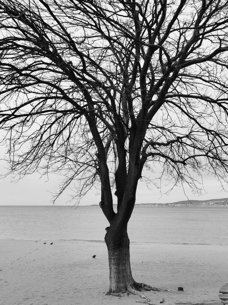 Photograph by Дмитрий Ромашов