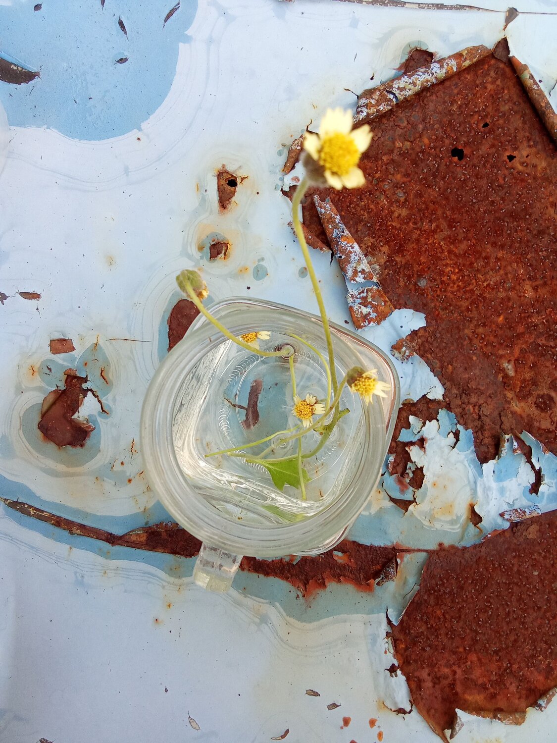 Photo #11898901