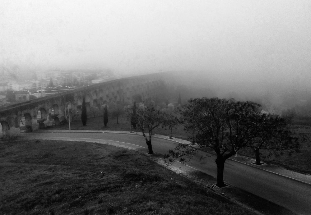 Photograph by Alexandre Marques