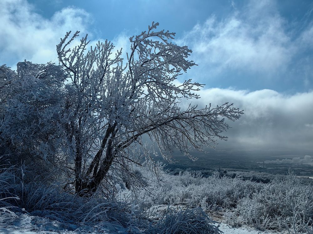 Photograph by Igor M.