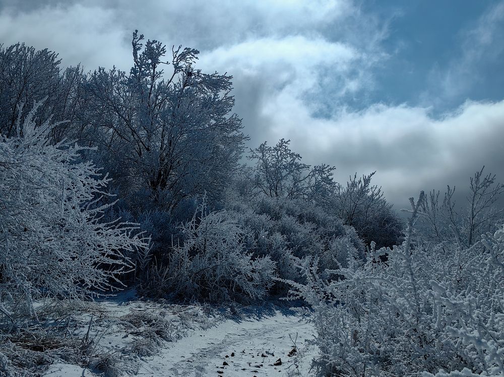 Photograph by Igor M.