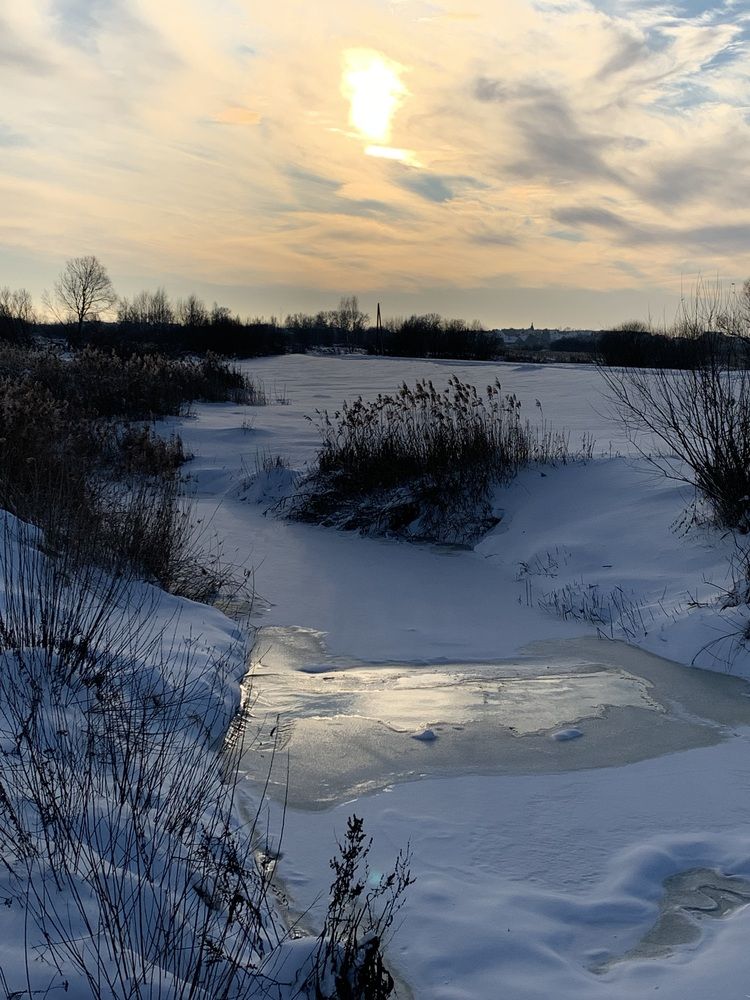 Фотография автора Ирина Шпаковская