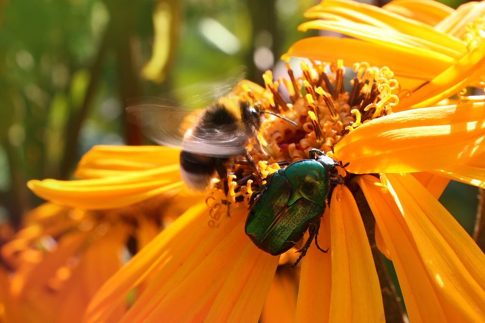 Photograph by Лилия Голд