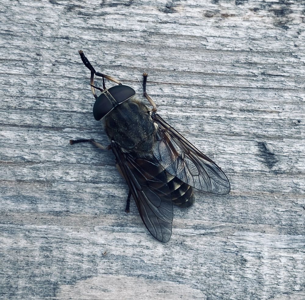 Photograph by Ксения Гулькова