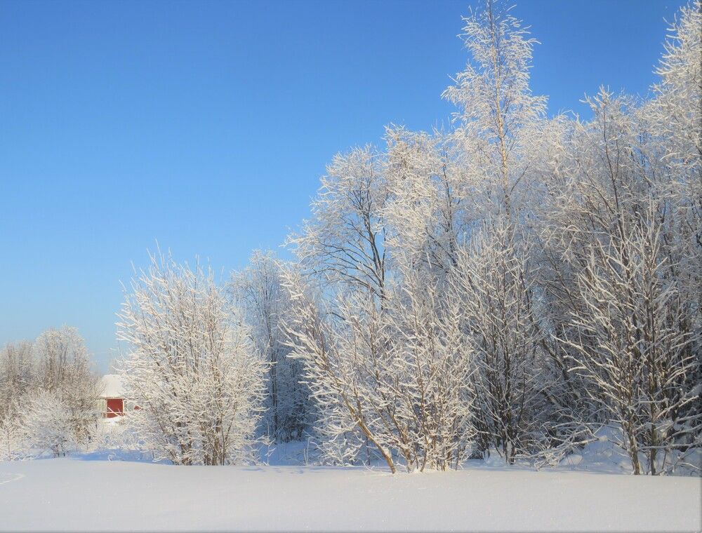 Photograph by Людмила Кононова