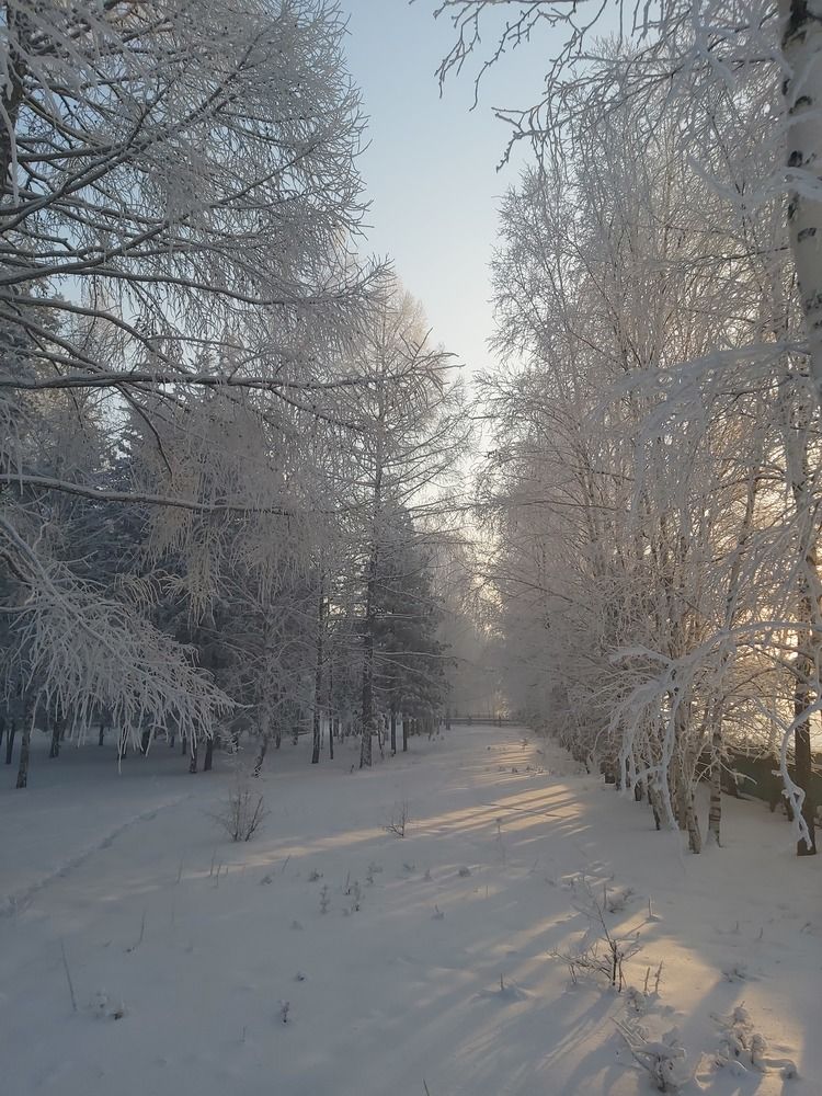 Photograph by Анна Киселева