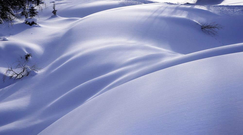 Фотография автора Татьяна Добровольская