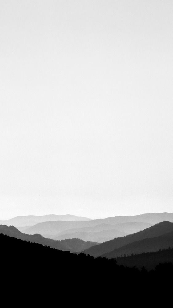 Photograph by Андрей Летов