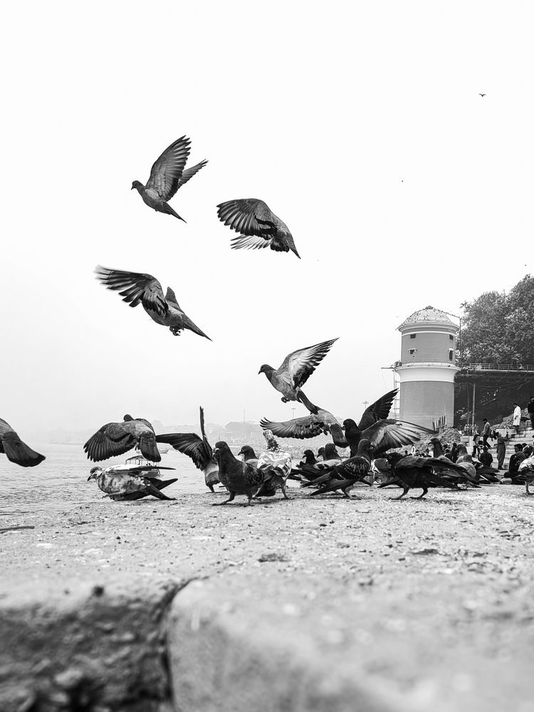 Photograph by Prateek Maurya