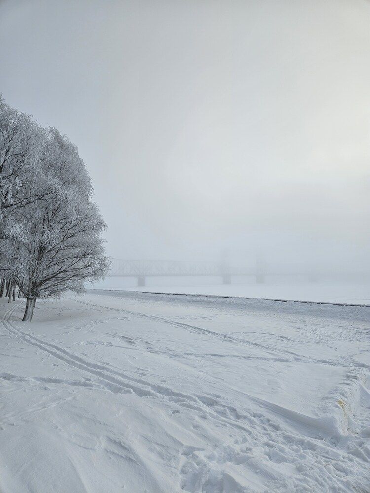 Photograph by Elena Kostochkina