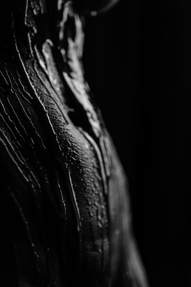 Photograph by Щебланов Виктор