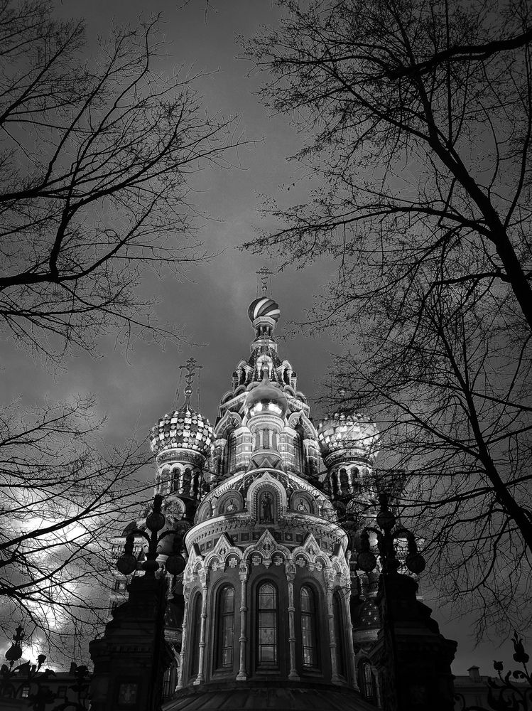 Photograph by Алина Стемковская