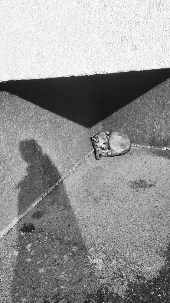 Photograph by Рыжова Александра