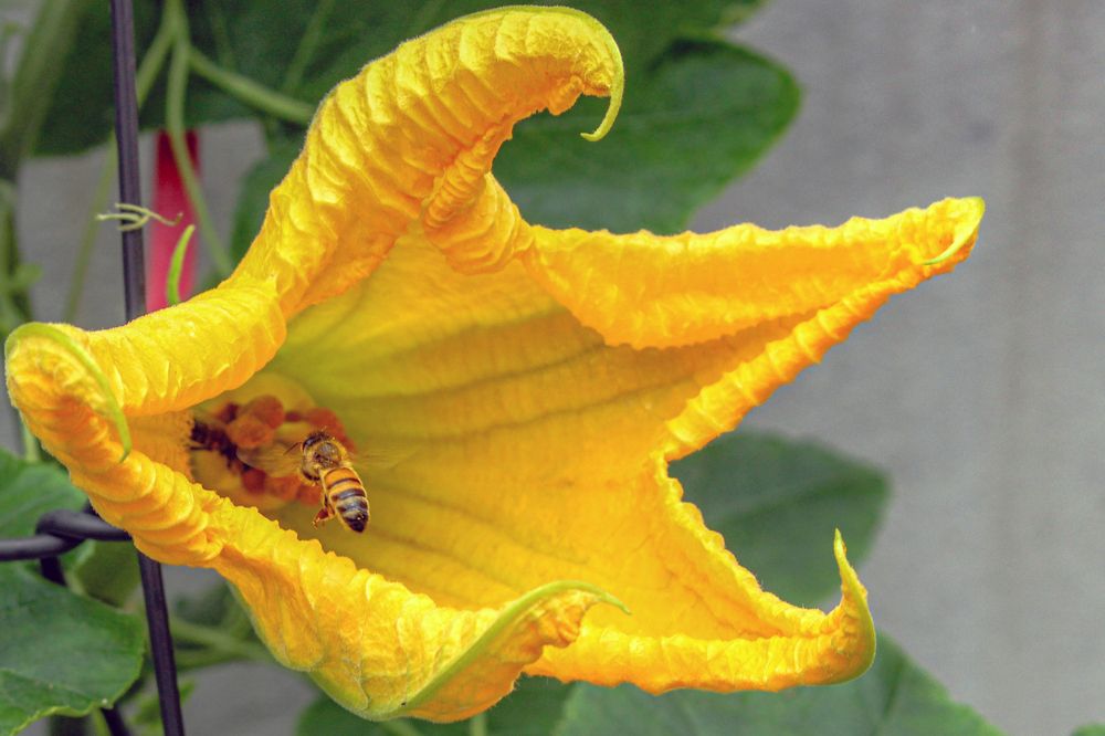 Photograph by WEONBAE PARK