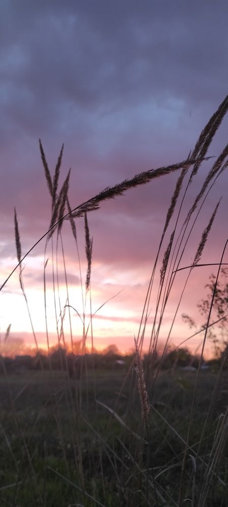 Photograph by Ирина Бочарова