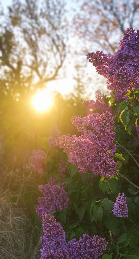 Photograph by Ирина Бочарова