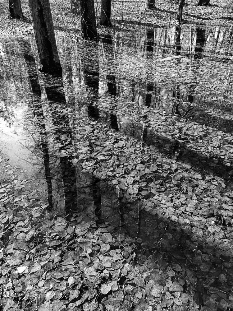 Photograph by Ирина Яук