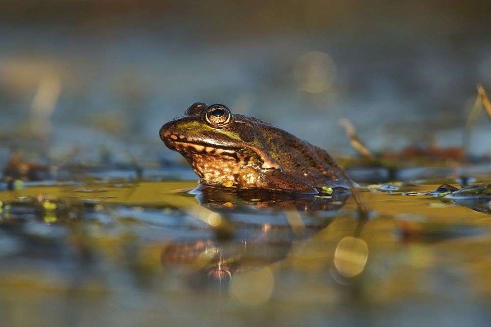 Photograph by Елена