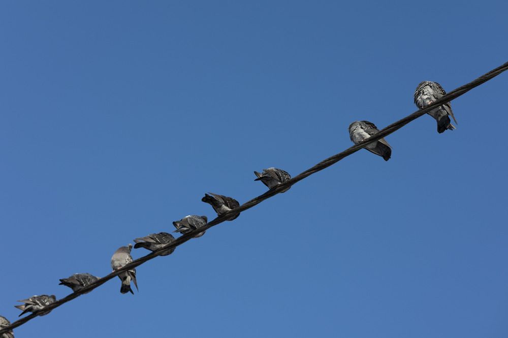 Photograph by Наталья Латыпова