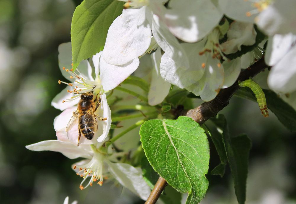 Фотография автора Лариса Ременьчик