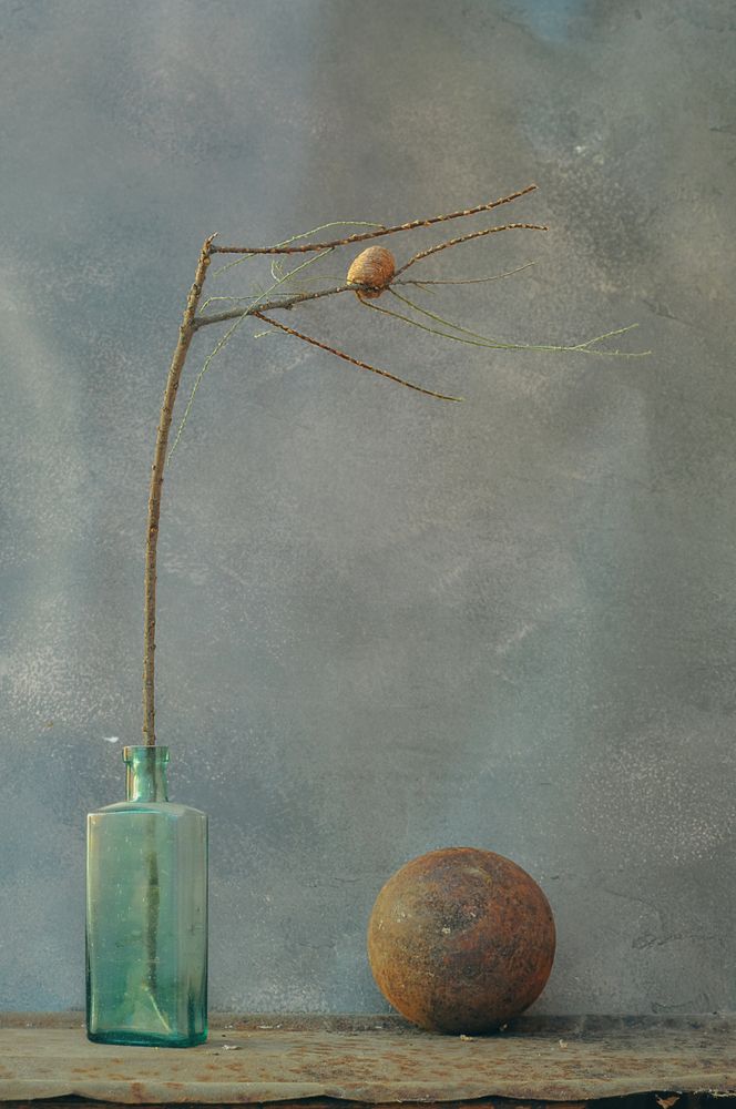 Photograph by Рыжова Александра