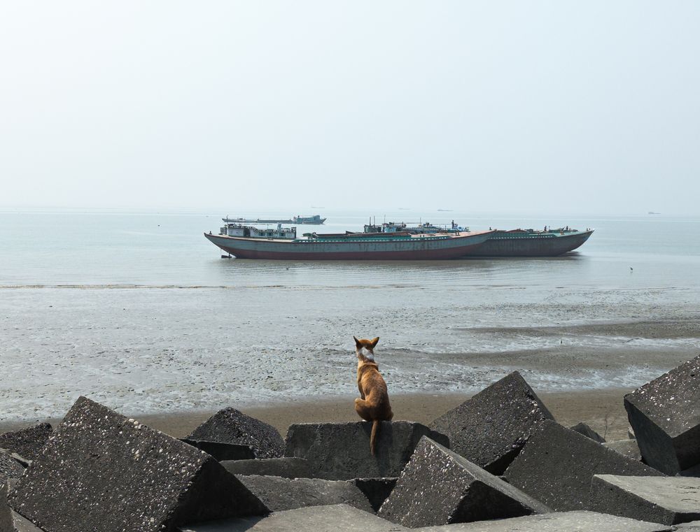 Photograph by Sajibul islam