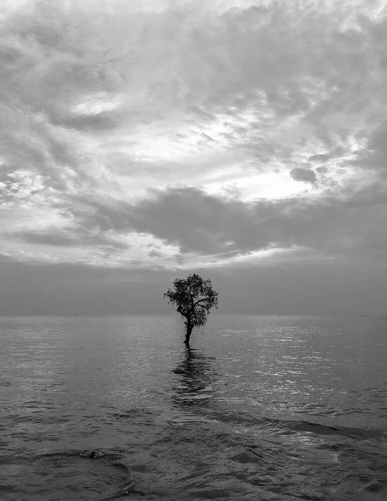 Photograph by Sajibul islam