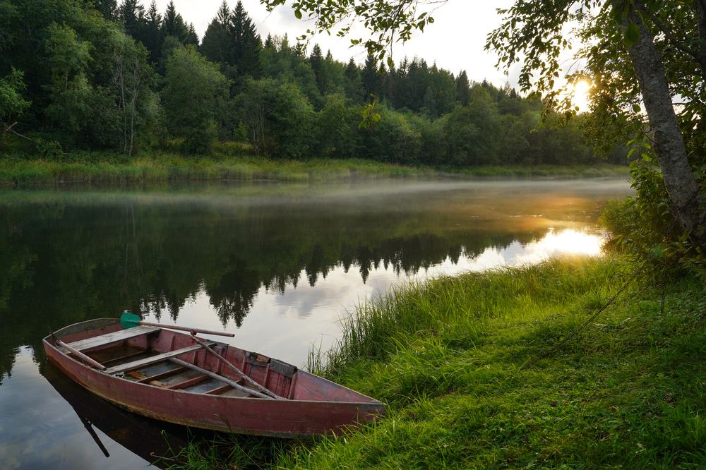 Photograph by Елена