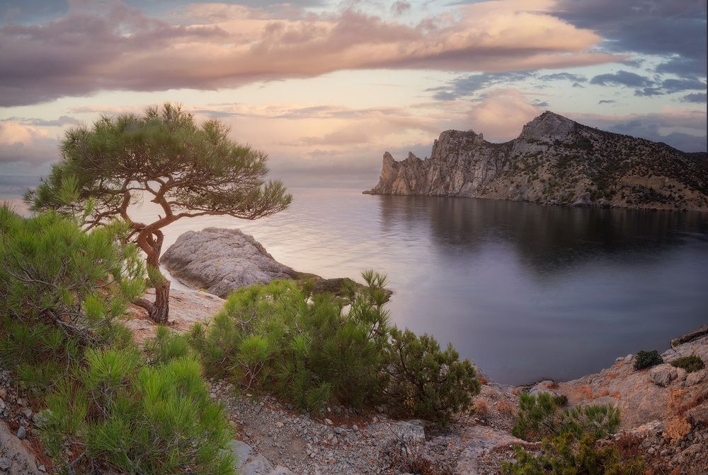 Photograph by Костенко Александр