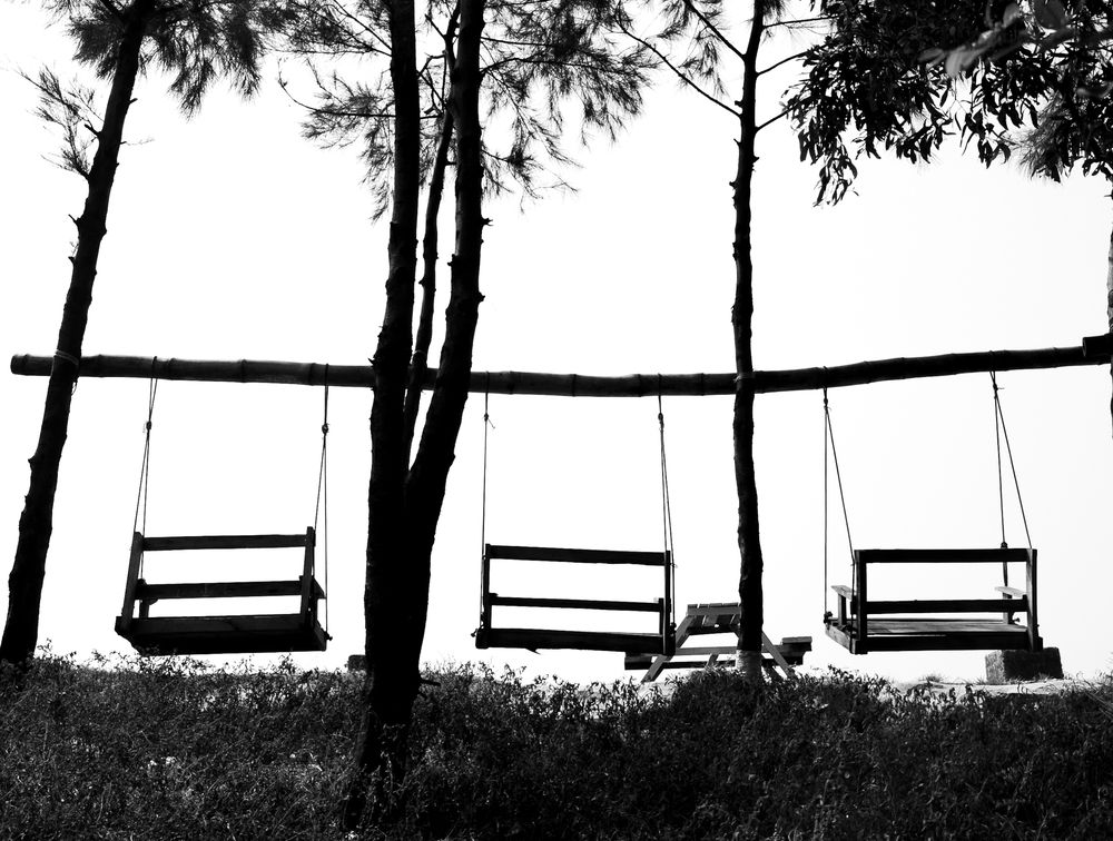 Photograph by Sajibul islam