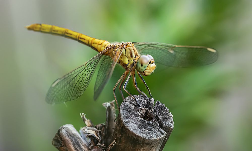 Photograph by Дмитрий Казачек