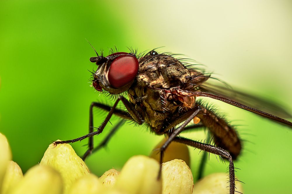 Photograph by Дмитрий Казачек