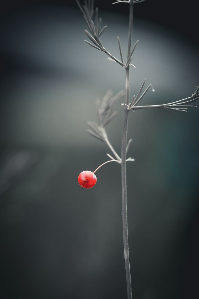 Photograph by Дмитрий Казачек